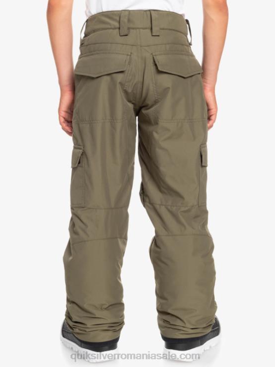 frunza de strugure 8-16 pantaloni de zapada porter XT6B2259 băieți Quiksilver