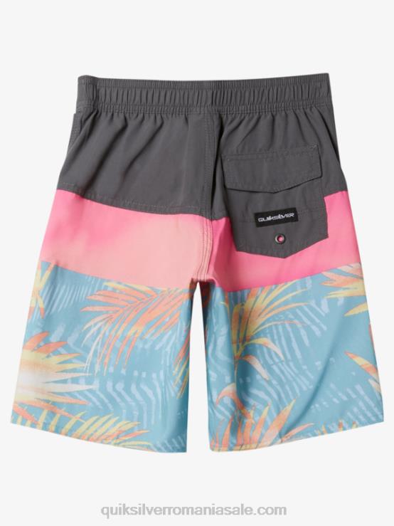 poarta de fier 2-7 panouri de zi cu zi 14 boardshorts XT6B1900 băieți Quiksilver