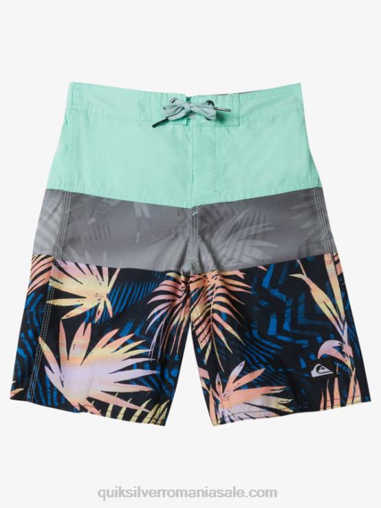 sticla de plaja 2-7 panouri de zi cu zi 14 boardshorts XT6B1899 băieți Quiksilver