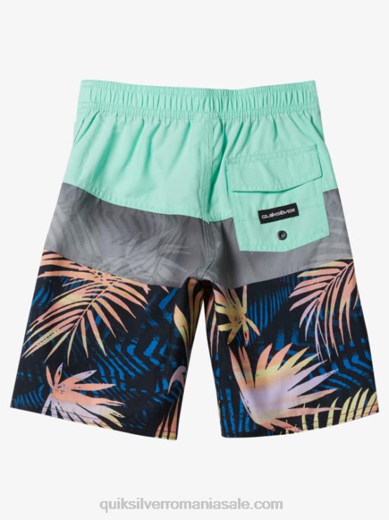 sticla de plaja 2-7 panouri de zi cu zi 14 boardshorts XT6B1899 băieți Quiksilver