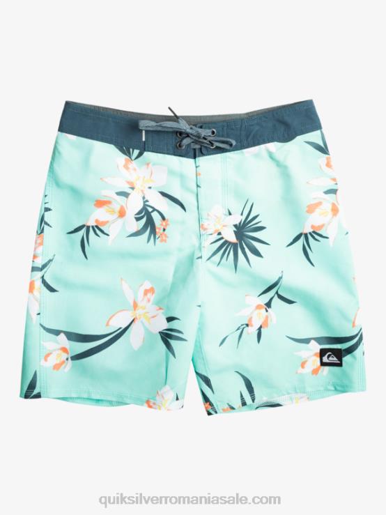 sticla de plaja 8-16 zilnic qs 69 16 boardshorts XT6B2140 băieți Quiksilver