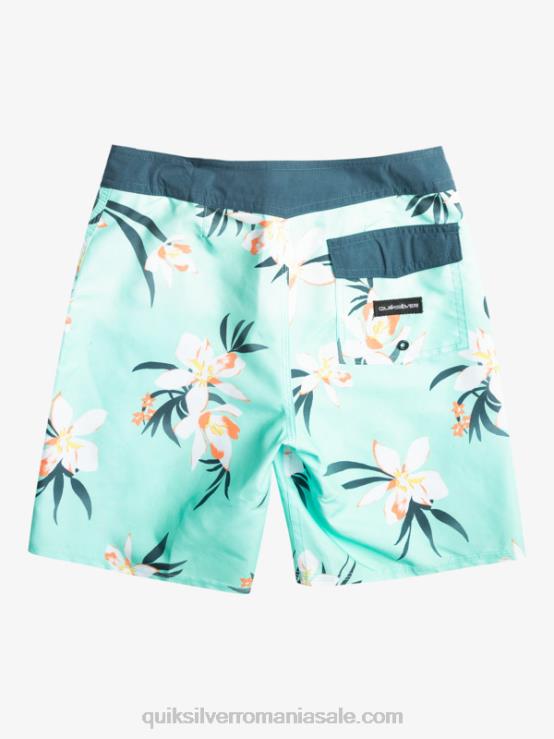 sticla de plaja 8-16 zilnic qs 69 16 boardshorts XT6B2140 băieți Quiksilver