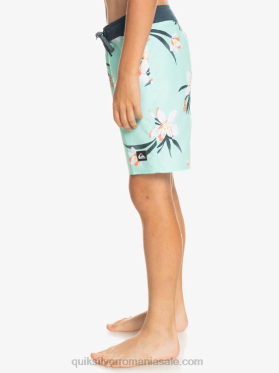 sticla de plaja 8-16 zilnic qs 69 16 boardshorts XT6B2140 băieți Quiksilver
