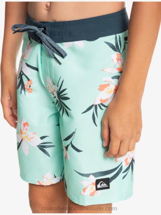 sticla de plaja 8-16 zilnic qs 69 16 boardshorts XT6B2140 băieți Quiksilver