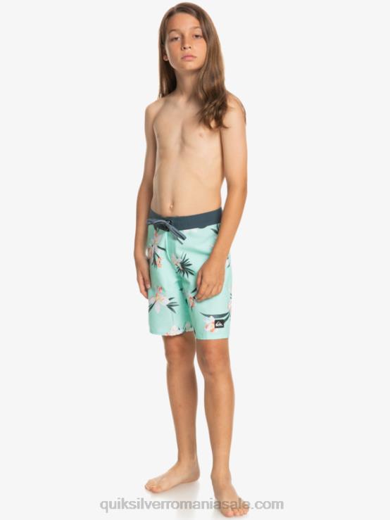 sticla de plaja 8-16 zilnic qs 69 16 boardshorts XT6B2140 băieți Quiksilver