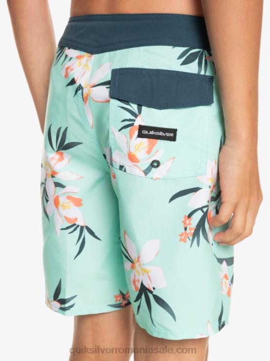 sticla de plaja 8-16 zilnic qs 69 16 boardshorts XT6B2140 băieți Quiksilver