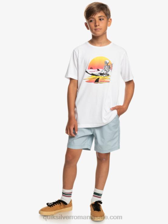 albastru ceresc 8-16 taxer 15 pantaloni scurți cu talie elastică XT6B2082 băieți Quiksilver
