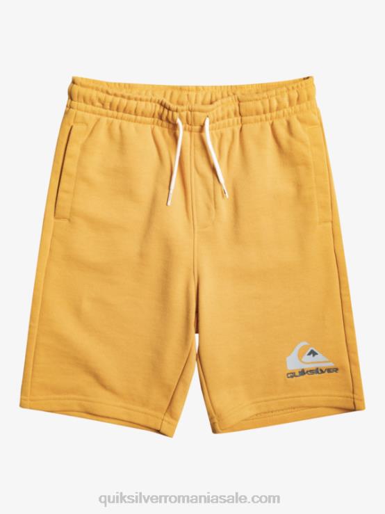 aur strălucitor Joggeri de 8-16 zile usoare XT6B2071 băieți Quiksilver
