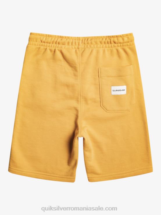 aur strălucitor Joggeri de 8-16 zile usoare XT6B2071 băieți Quiksilver