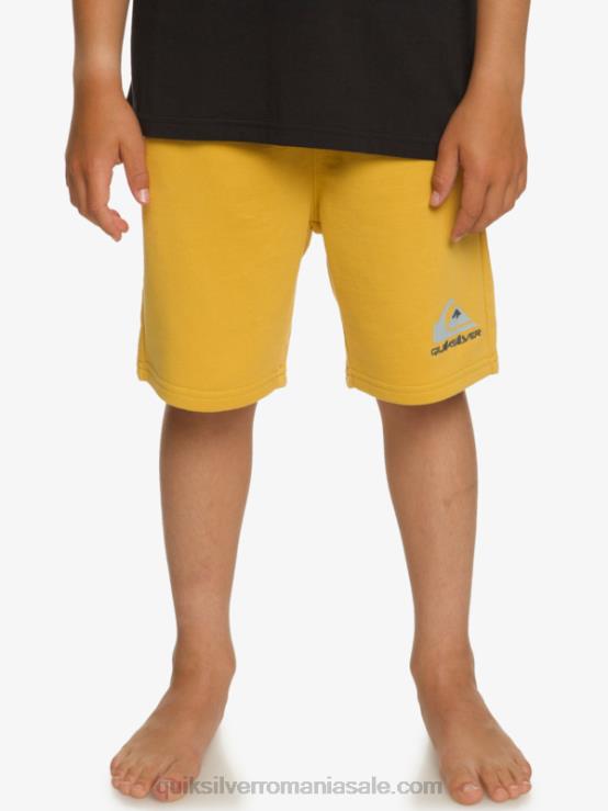 aur strălucitor Joggeri de 8-16 zile usoare XT6B2071 băieți Quiksilver