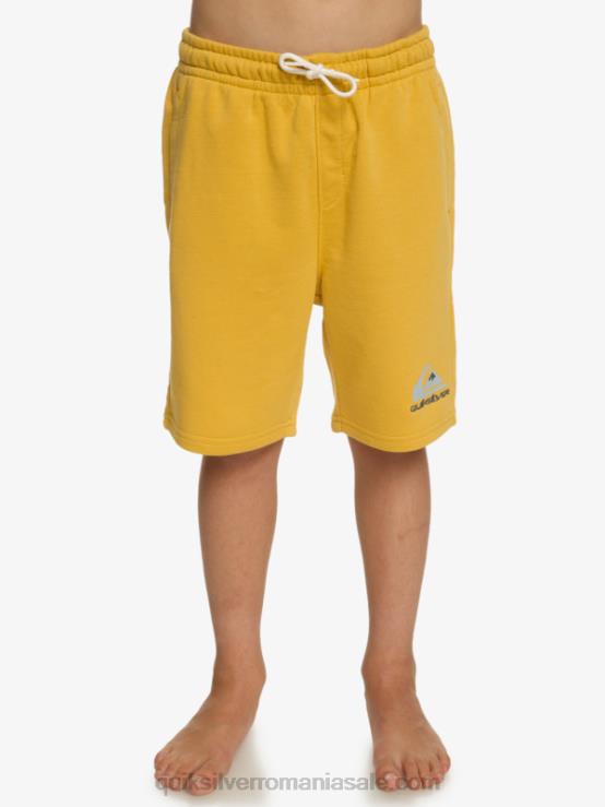 aur strălucitor Joggeri de 8-16 zile usoare XT6B2071 băieți Quiksilver