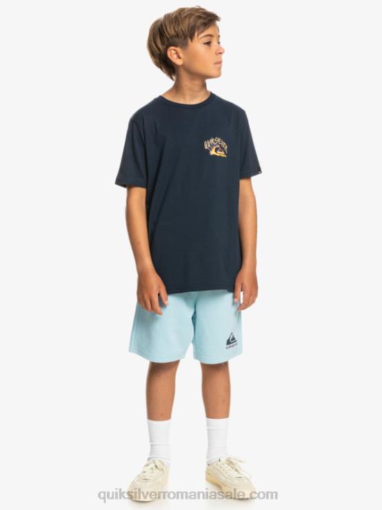cer albastru Joggeri de 8-16 zile usoare XT6B2072 băieți Quiksilver