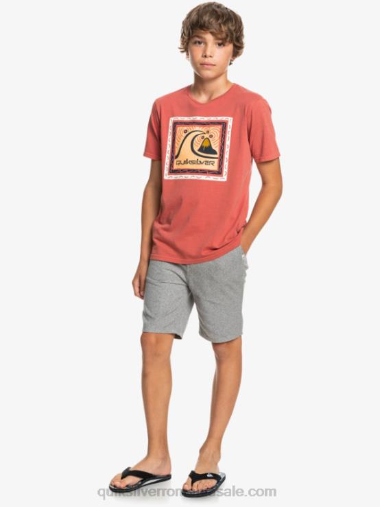 erica gri deschis 8-16 zilnic 17 pantaloni scurți chino XT6B2286 băieți Quiksilver