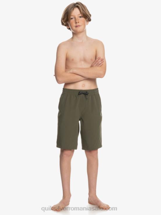 frunza de strugure 8-16 ocean elastic amph yth 18 pantaloni scurți hibrid XT6B2255 băieți Quiksilver
