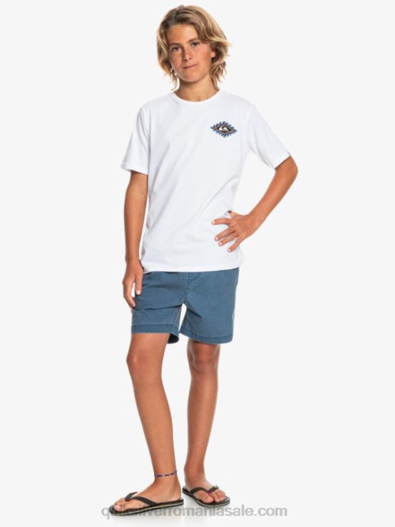 însemne albastre 8-16 taxer 15 pantaloni scurți cu talie elastică XT6B2083 băieți Quiksilver