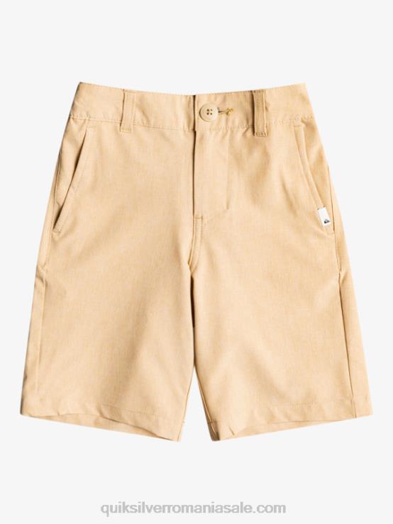 plage 2-7 union heather amphibian 14 pantaloni scurți hibrid XT6B2334 băieți Quiksilver