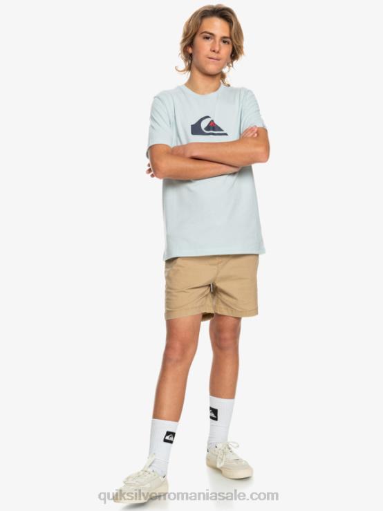 plage 8-16 taxer 15 pantaloni scurți cu talie elastică XT6B2080 băieți Quiksilver