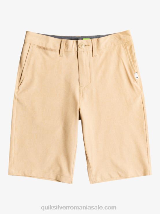 plage 8-16 union heather amphibian 19 pantaloni scurți hibrid XT6B2325 băieți Quiksilver