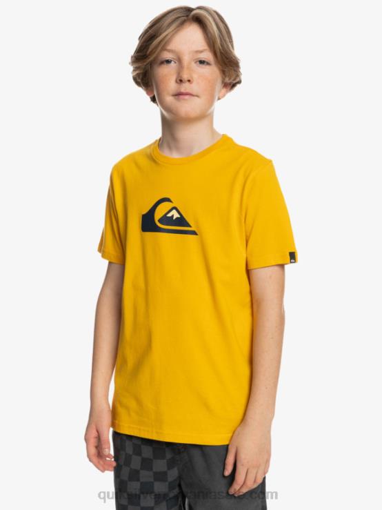 toiag de aur logo comp - tricou XT6B2316 băieți Quiksilver