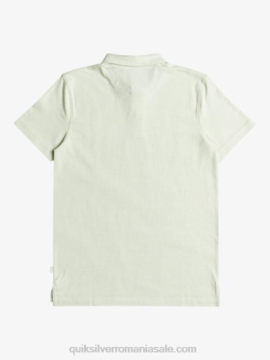 celendine tricou polo cu mânecă scurtă sun cruise de zi cu zi XT6B1554 bărbați Quiksilver