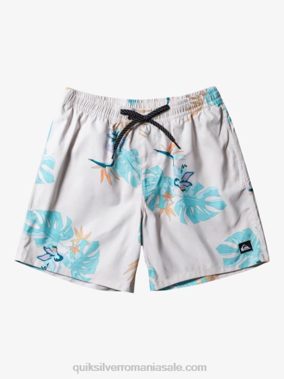 alb se amestecă zilnic 17 salve XT6B679 bărbați Quiksilver