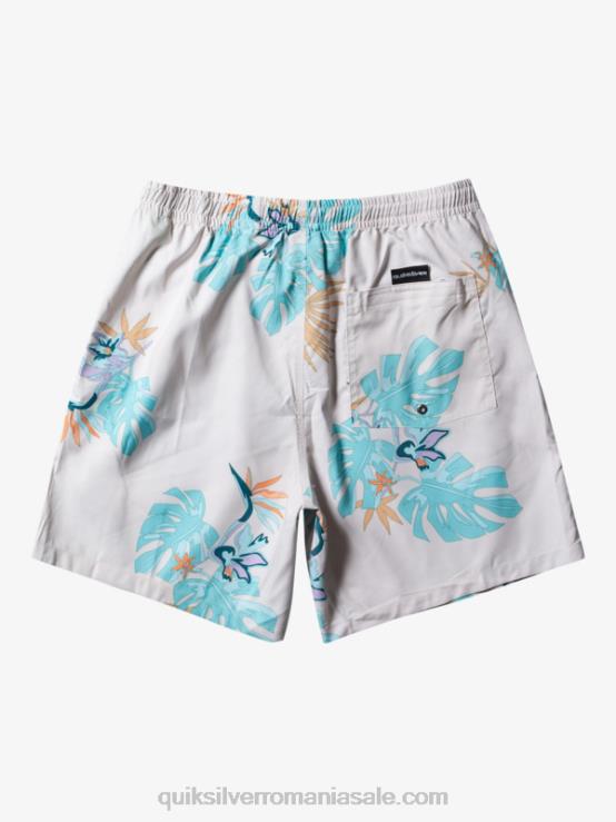 alb se amestecă zilnic 17 salve XT6B679 bărbați Quiksilver