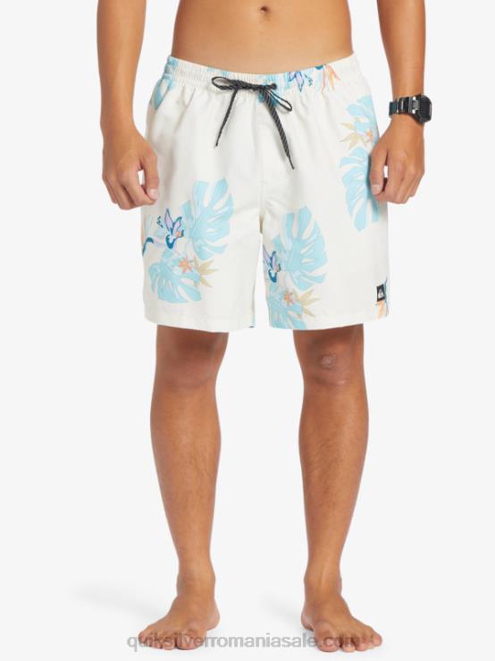 alb se amestecă zilnic 17 salve XT6B679 bărbați Quiksilver