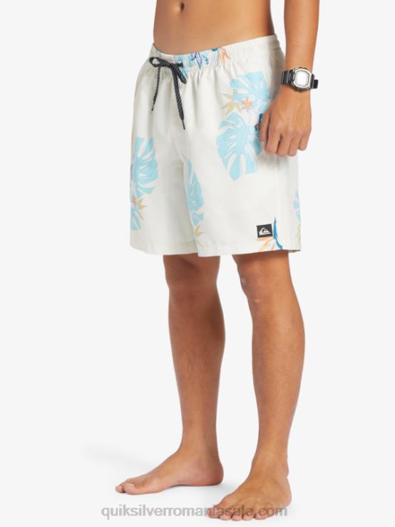 alb se amestecă zilnic 17 salve XT6B679 bărbați Quiksilver