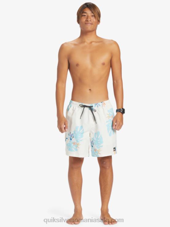 alb se amestecă zilnic 17 salve XT6B679 bărbați Quiksilver