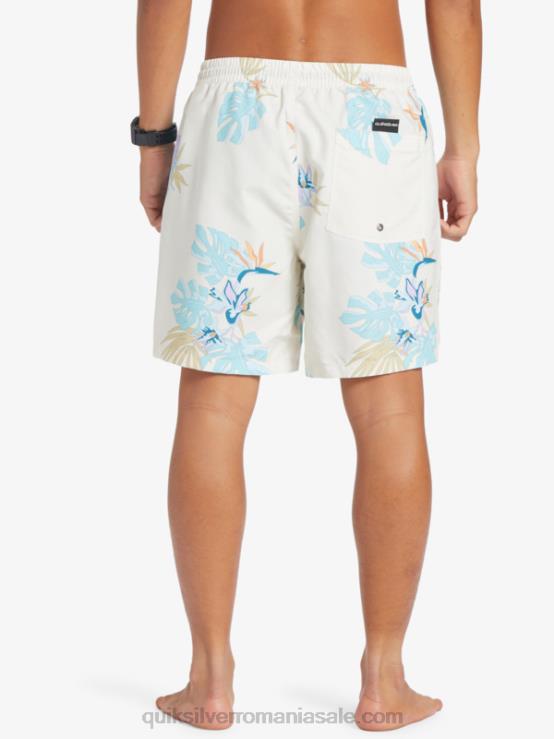 alb se amestecă zilnic 17 salve XT6B679 bărbați Quiksilver