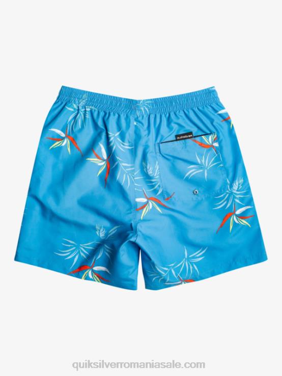 albastru azur se amestecă zilnic 17 salve XT6B674 bărbați Quiksilver