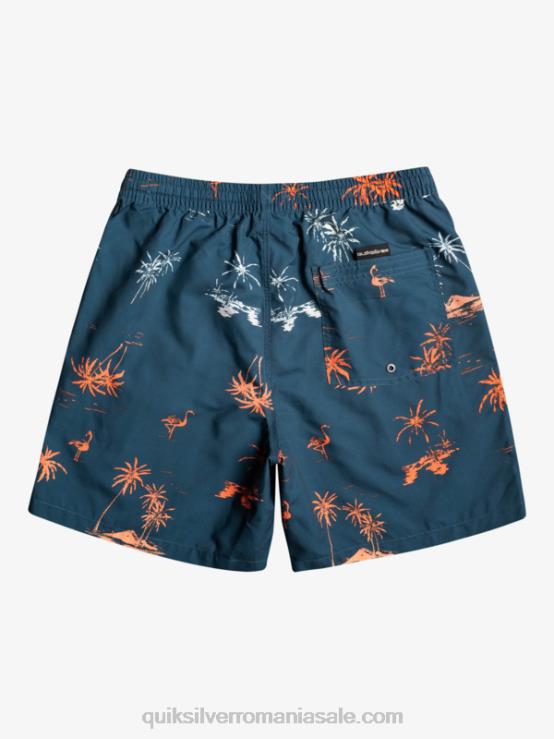 albastru majolica se amestecă zilnic 17 salve XT6B1465 bărbați Quiksilver