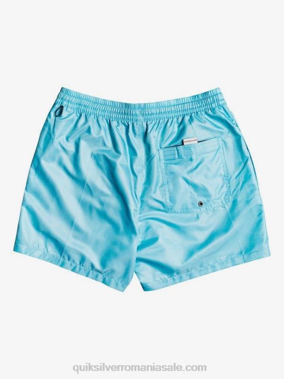 albastru pacific în fiecare zi 15 salve XT6B466 bărbați Quiksilver