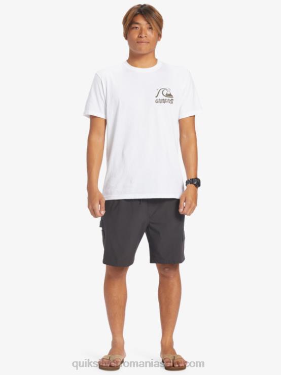 asfalt taxer cargo 18 amphibian boardshorts XT6B251 bărbați Quiksilver