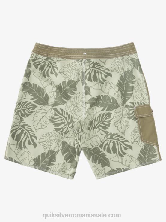 ceai înapoi waterman throwback print 2 19 boardshorts XT6B850 bărbați Quiksilver