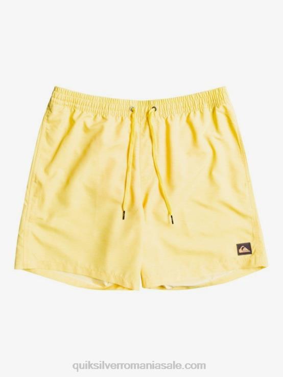 coaja de lamaie în fiecare zi 17 salve XT6B1526 bărbați Quiksilver