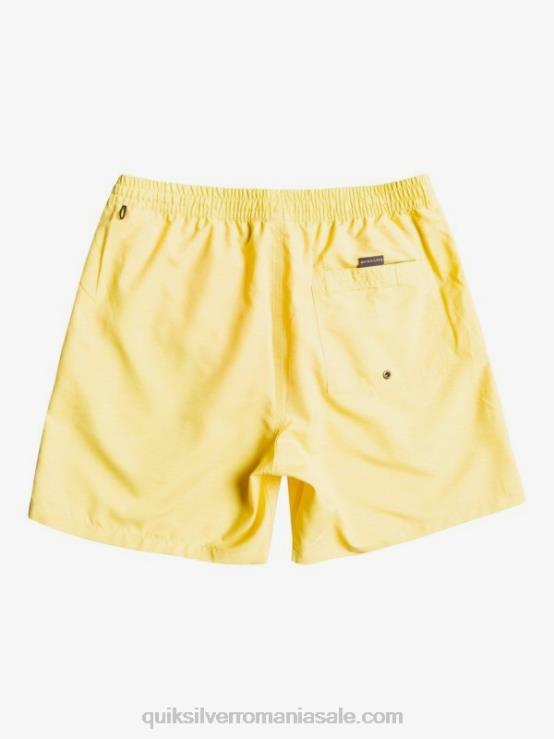 coaja de lamaie în fiecare zi 17 salve XT6B1526 bărbați Quiksilver