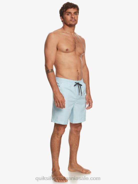 erica albastru cer taxer heather 18 amphibian boardshorts XT6B304 bărbați Quiksilver