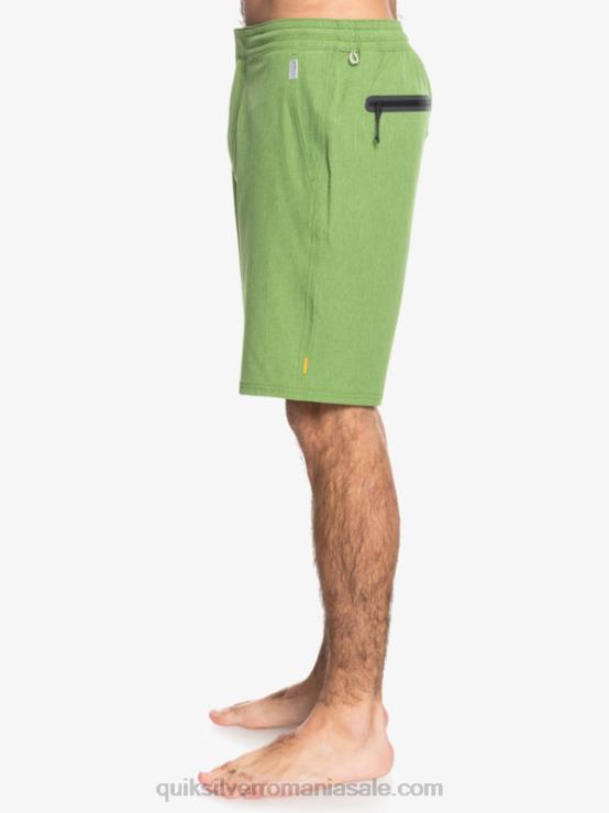 erica trifoi cu patru foi waterman suva 20 amphibian boardshorts XT6B783 bărbați Quiksilver