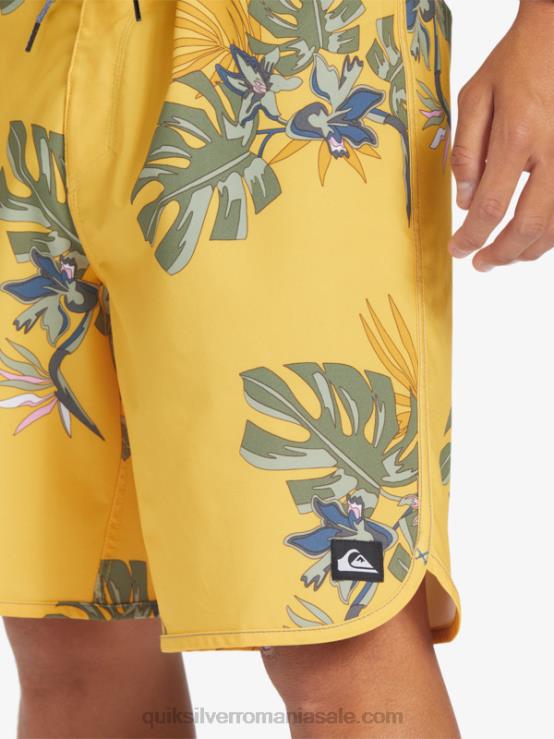 gălbenuş surfsilk scallop 19 boardshorts XT6B214 bărbați Quiksilver