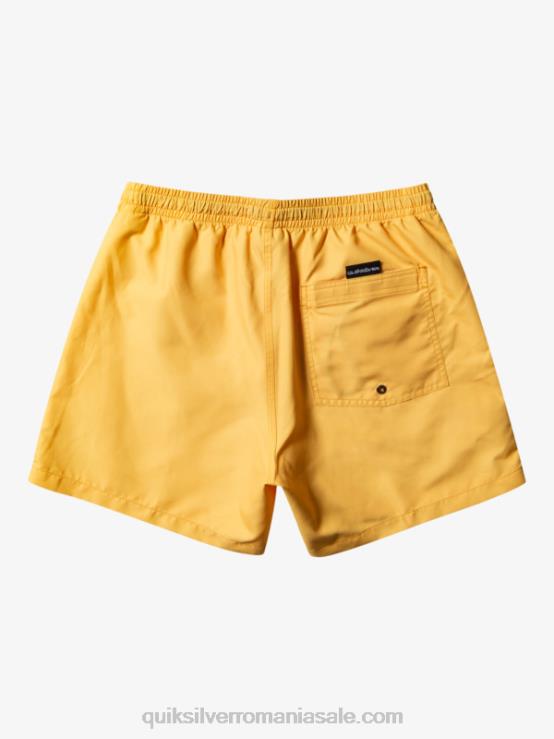 galbenus galben în fiecare zi 15 salve XT6B462 bărbați Quiksilver