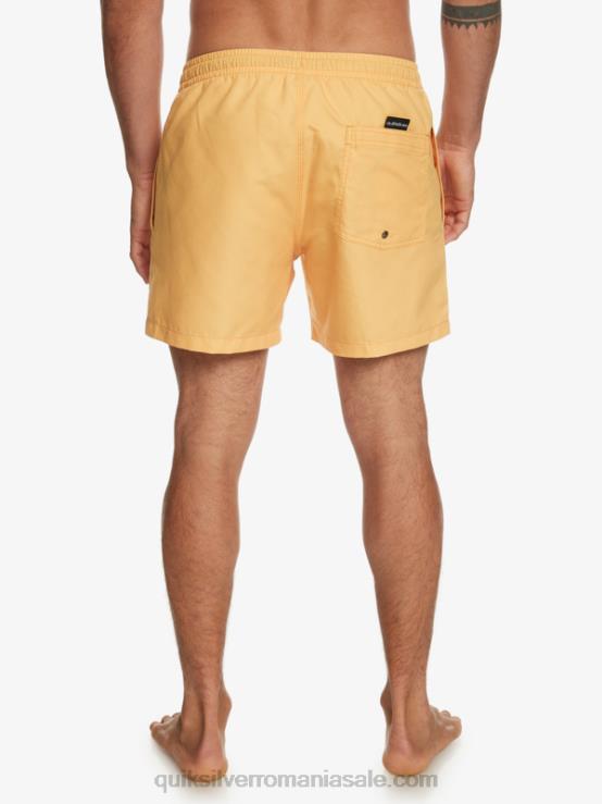galbenus galben în fiecare zi 15 salve XT6B462 bărbați Quiksilver
