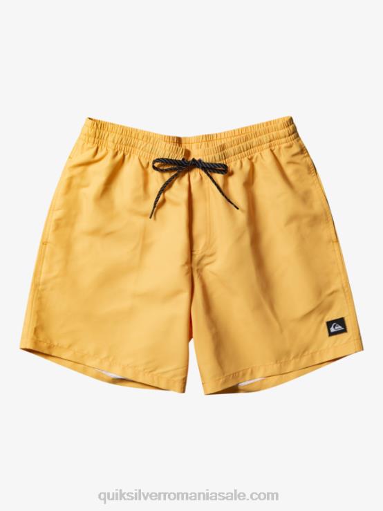 galbenus galben în fiecare zi 17 salve XT6B623 bărbați Quiksilver