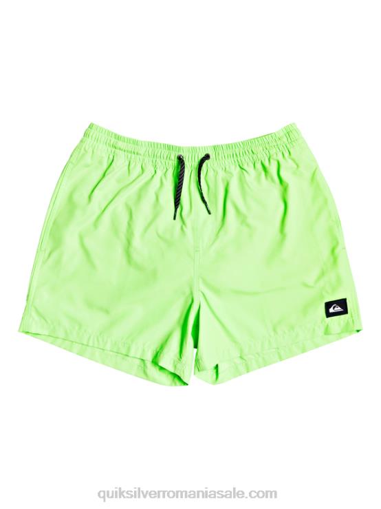 gecko verde în fiecare zi 15 salve XT6B460 bărbați Quiksilver