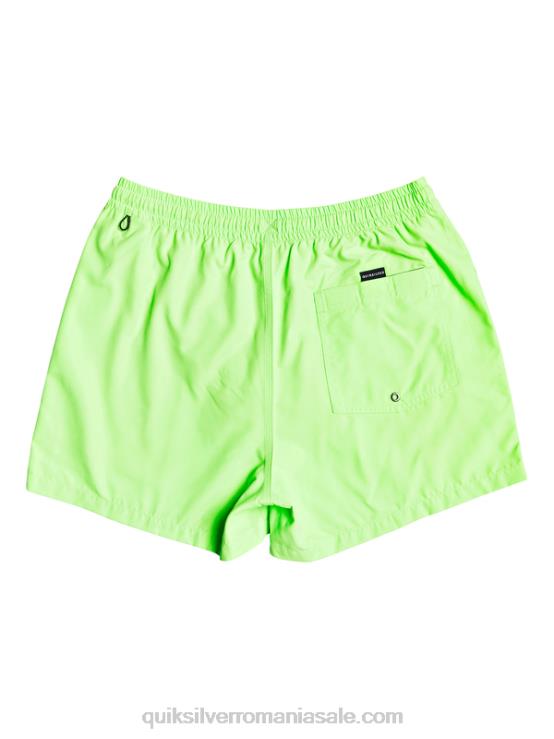gecko verde în fiecare zi 15 salve XT6B460 bărbați Quiksilver
