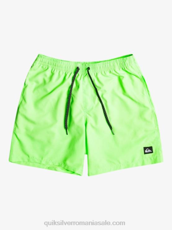 gecko verde în fiecare zi 17 salve XT6B621 bărbați Quiksilver