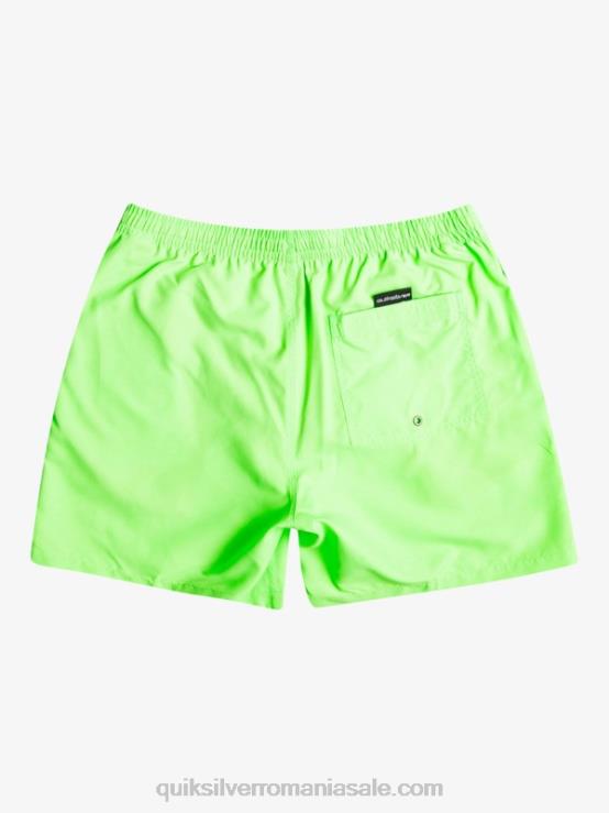 gecko verde în fiecare zi 17 salve XT6B621 bărbați Quiksilver