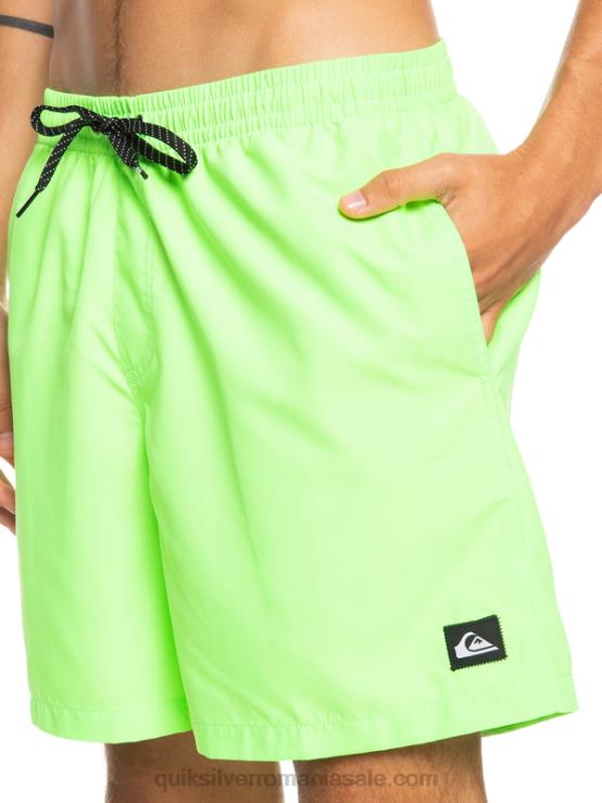 gecko verde în fiecare zi 17 salve XT6B621 bărbați Quiksilver