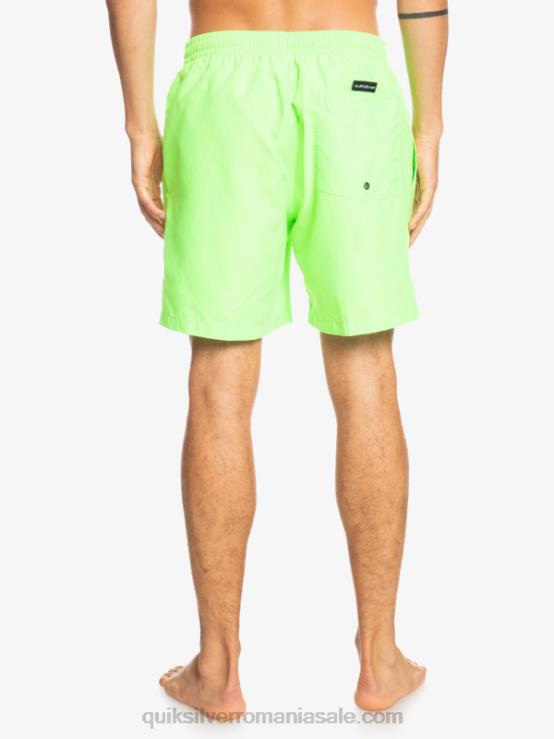 gecko verde în fiecare zi 17 salve XT6B621 bărbați Quiksilver