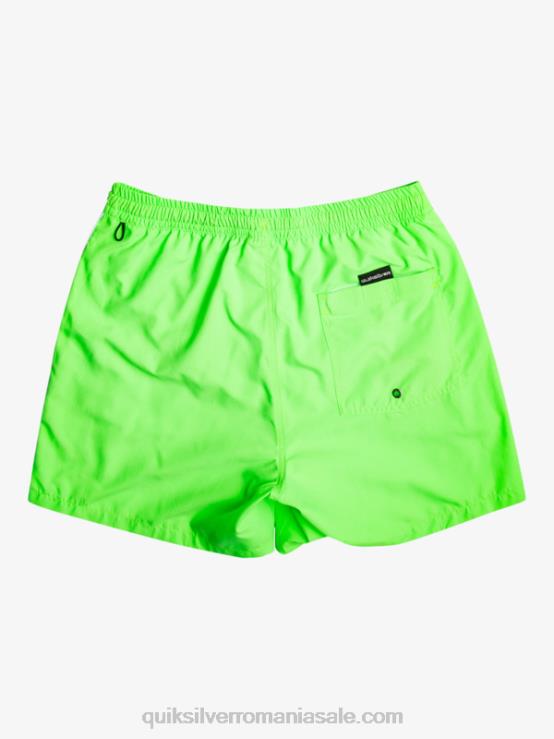 gecko verde zilnic vert 16 volei XT6B696 bărbați Quiksilver